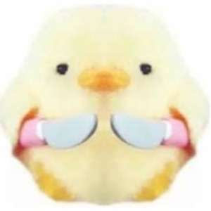 Foto do perfil de Patotim