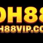 Foto do perfil de dh88vipcom2